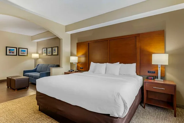 جناح بسرير كينج، Comfort Inn and Suites Seguin, TX 1/3