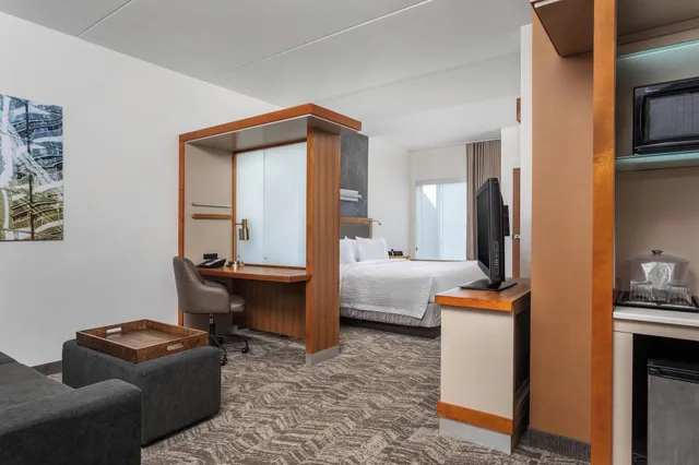 Studio, Multiple Beds, Balcony، Springhill Suites Chattanooga Downtown Cameron Harbor 7/7