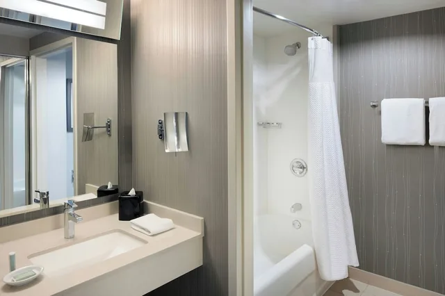 غرفة بسرير كينج بإطلالة على المدينة مع أريكة، Courtyard Chicago Downtown/Magnificent Mile 3/6