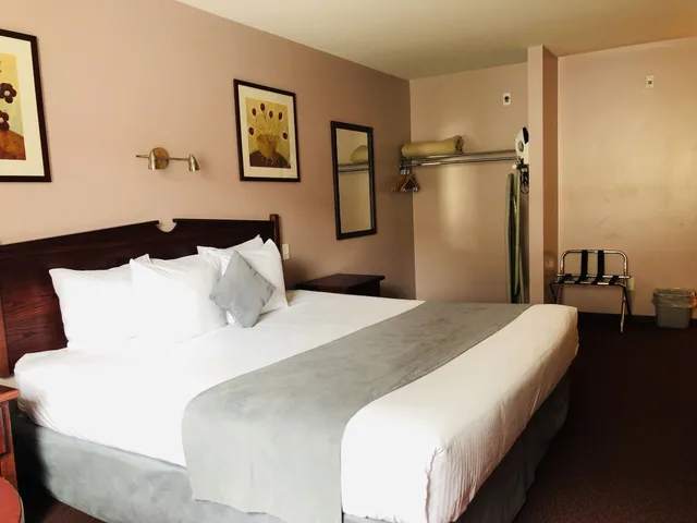 Efficiency, Comfort, King Bed، Super 8 Lake Country Winfield Area 3/5