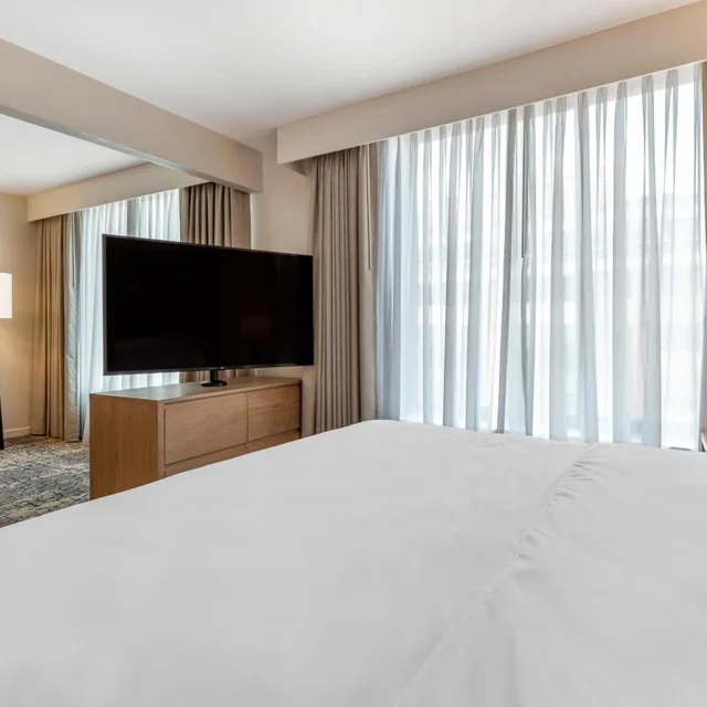 جناح استوديو بسرير كينج مع أريكة، Sheraton Suites Old Town Alexandria 3/11