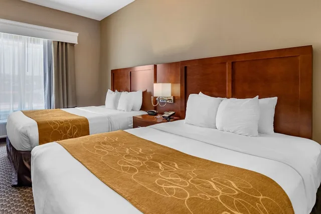 جناح بسريرين كوين مع أريكة لذوي الإعاقة، Comfort Suites Near Texas A M University Corpus Christi 1/3