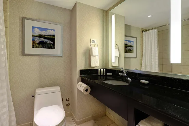 جناح بسرير كوين بإطلالة على المدينة، Embassy Suites By Hilton Niagara Falls Fallsview 2/3