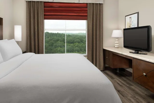 جناح تنفيذي بسرير كينج بغرفتين مع أريكة، Embassy Suites by Hilton Birmingham Hoover 3/5