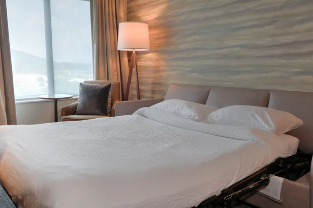 استوديو بسرير كينج مع أريكة، Residence Inn by Marriott Pigeon Forge 3/7
