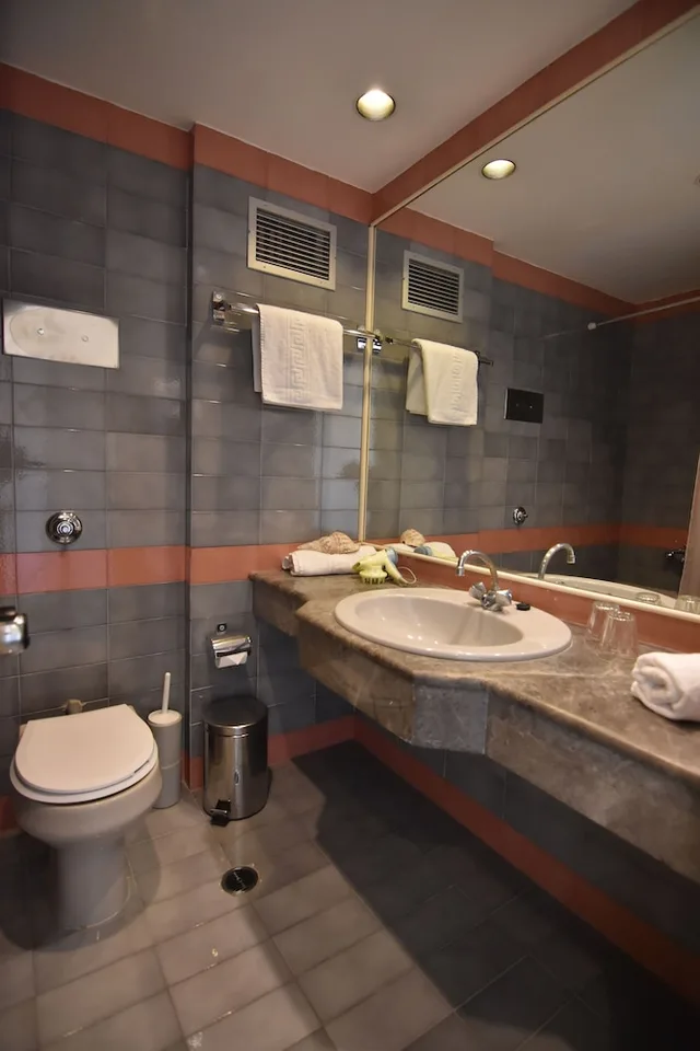 غرفة قياسية بسريرين منفصلين، Mantenia Hotel 8/9