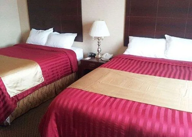 Standard, 2 Queen Beds, Econo Lodge City Centre Kingston 3/10
