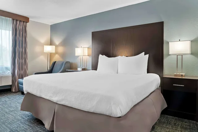 غرفة قياسية بسرير كينج، Best Western Plus Flint Airport Inn & Suites 1/3