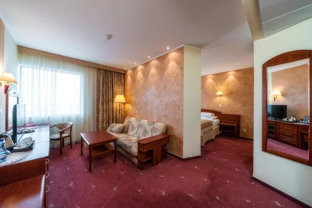 استوديو بسرير كوين، Hotel Park Plaza 2/6