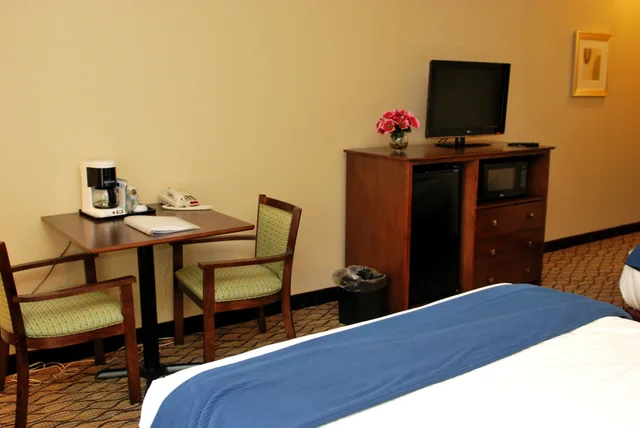 غرفة قياسية بسرير مزدوج، Holiday Inn Express Lapeer 2/3