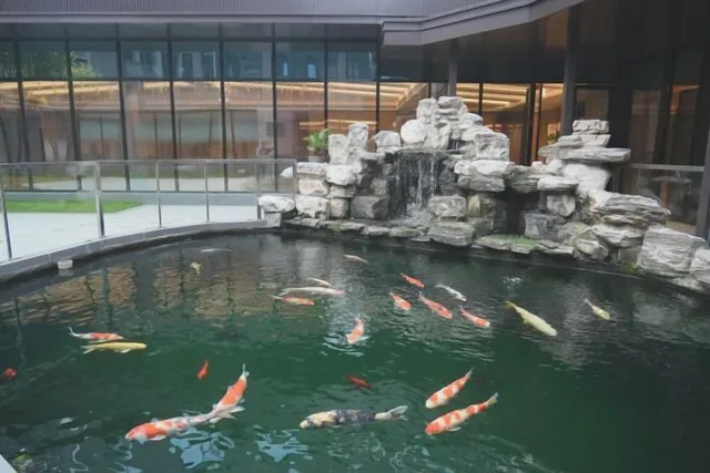 Holiday Inn Beijing Daxing Movie Park by IHG، بكين 20/50
