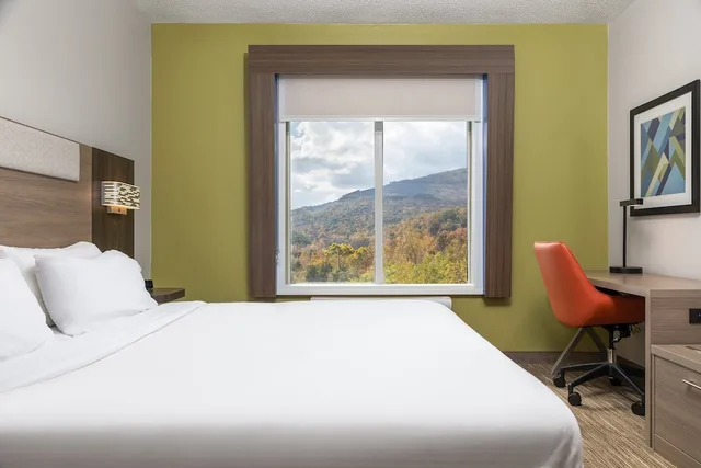 Suite, King Bed, Sofa, Holiday Inn Express Hotel And Suites Chattanooga At Lookout Mtn Tn 1/7