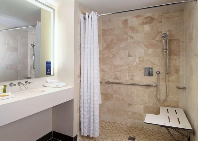 جناح بغرفة نوم واحدة لذوي الإعاقة، Hilton Alexandria Old Town 6/6