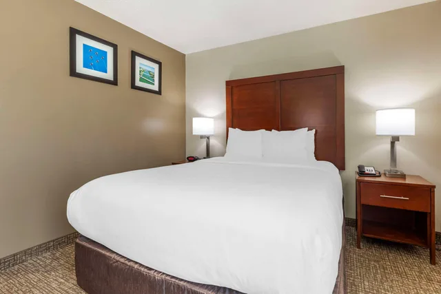 غرفة بسرير كوين، Comfort Inn & Suites Temple - Medical Center 2/3