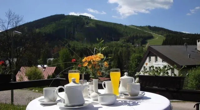 Spa Hotel Bilý Horec، Jablonec nad Nisou 15/20