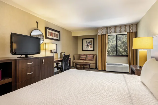 غرفة قياسية بسرير كينج لذوي الإعاقة، Crowne Plaza Dallas Near Galleria Addison 3/7