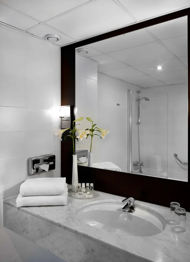 جناح ديلوكس، Park Plaza Eindhoven 1/3