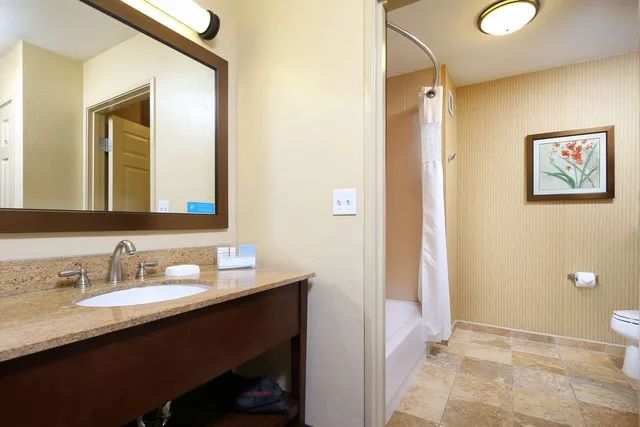 غرفة بسرير كينج لذوي الإعاقة، Hampton Inn and Suites Tucson Mall 3/3