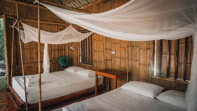 Forest, Bungalow, 2 King Beds, Chezbeo Homestay 3/6