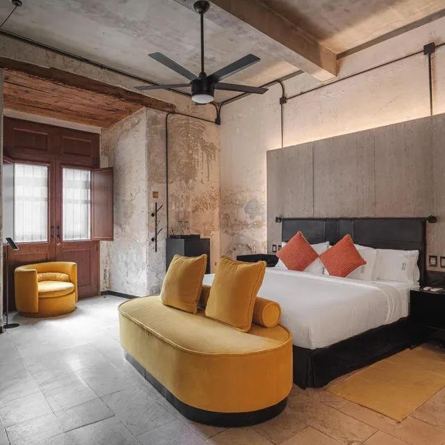 Superior, Suite, Pug Seal Oaxaca 5/10