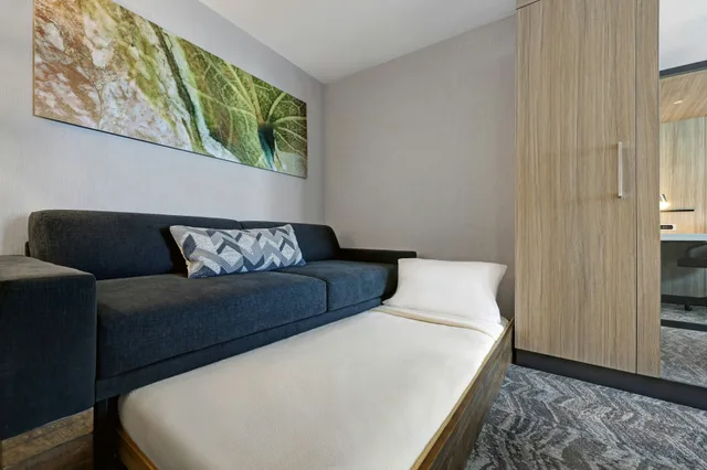 جناح، SpringHill Suites by Marriott Palm Desert 1/9