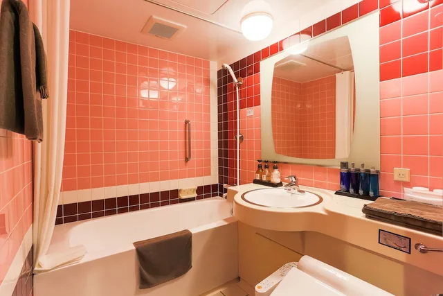 غرفة قياسية بسرير مزدوج للمدخنين، Hotel Sun Royal Kawasaki 3/3