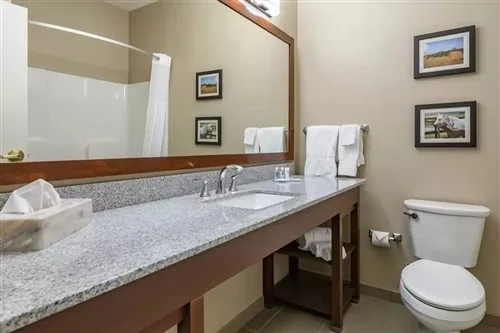 جناح استوديو بسرير كينج مع أريكة، Comfort Inn & Suites Northern Kentucky 1/1