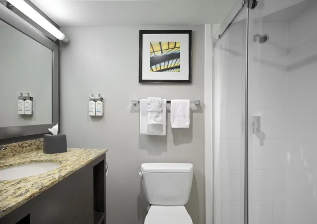 غرفة قياسية بسرير كينج، Holiday Inn St Louis Sw Route 66 4/6