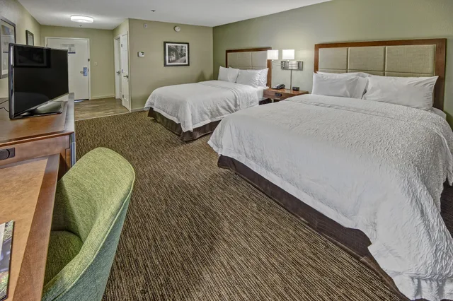 جناح بسريرين كينج مع أريكة، Hampton Inn Savannah I 95 North 2/3