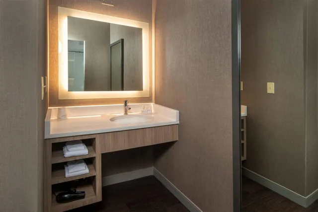 جناح بسريرين مزدوجين بحوض استحمام لذوي الإعاقة، Springhill Suites Herndon Reston 5/8
