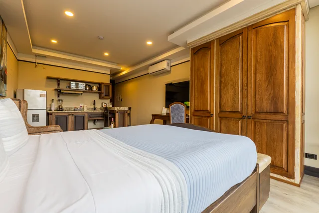 جناح تنفيذي بسرير مزدوج، Hotel Du Parc 1/10