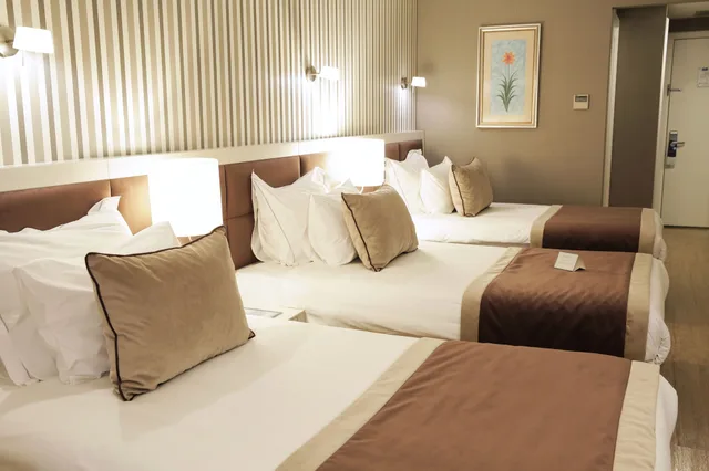 Room, Triple, 1 Double and 1 Single Bed, Murphy Bed, Byotell Hotel Istanbul 4/10