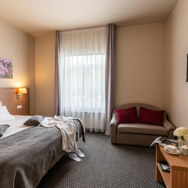 غرفة كومفورت بسرير مزدوج، Sigulda Hotel 6/10