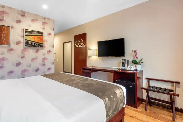 غرفة بسرير كينج لذوي الإعاقة، The L Hotel Brooklyn, NY 2/3