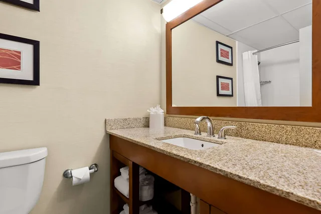 غرفة بزنس بسرير كينج، Comfort Inn St. Louis - Westport Event Center 2/2
