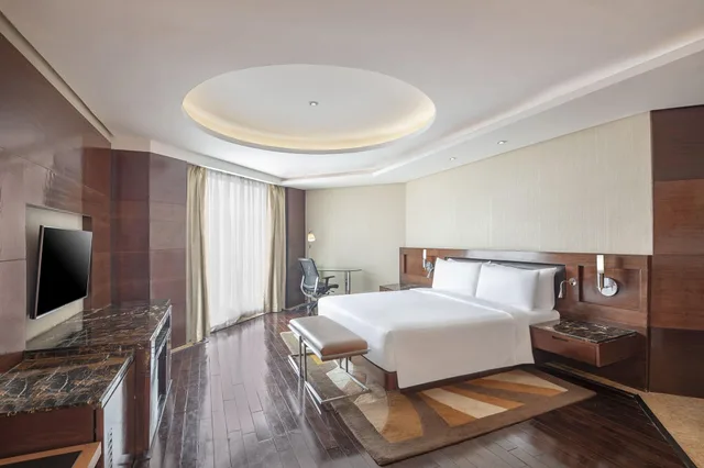 جناح تنفيذي، Radisson Blu Hotel Kaushambi Delhi Ncr 1/3