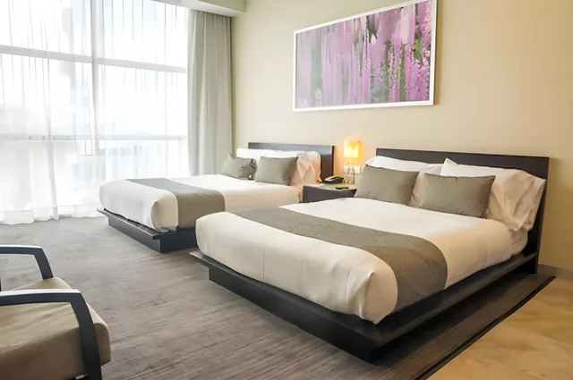 غرفة قياسية، Stadia Suites Santa Fe 1/1