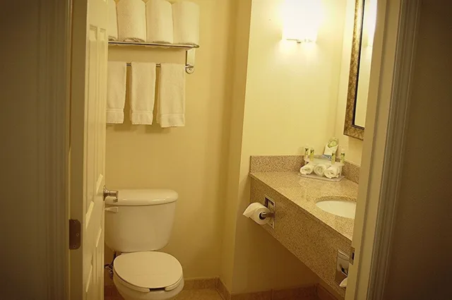 غرفة بسرير مزدوج لذوي الإعاقة، Holiday Inn Express Defuniak Springs 2/2