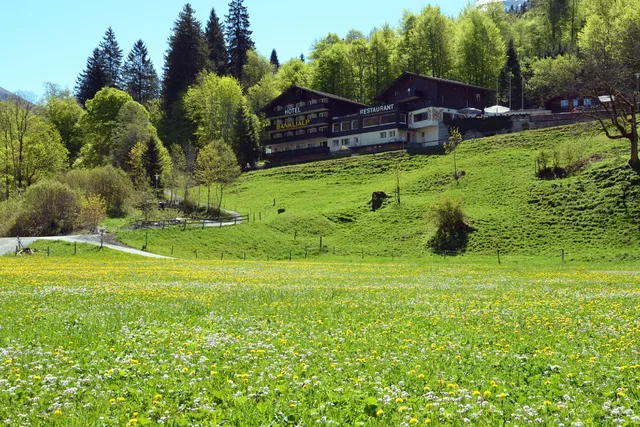 Room, Mountain View, Banklialp Hotel - Restaurant 1/1