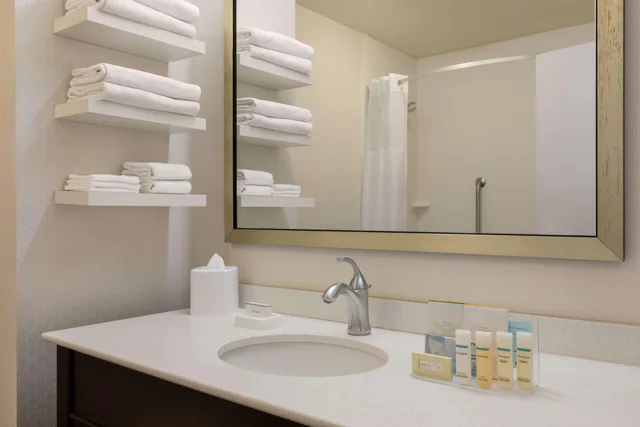 غرفة بسرير مزدوج، Hampton Inn And Suites Roanoke-Downtown 3/3