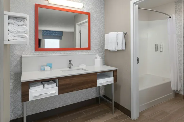 جناح بسريرين كوين لذوي الإعاقة، Hampton Inn And Suites Saginaw 3/3
