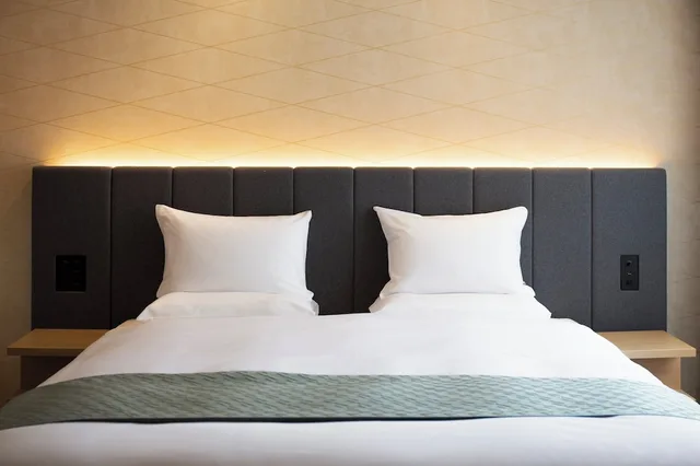 Plus, Deluxe, King Bed، Nikko Style Nagoya 4/11