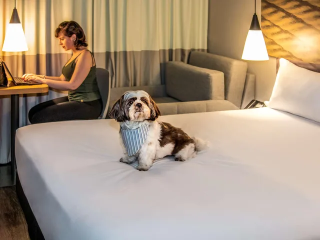 غرفة قياسية، Ibis Sao Paulo Tatuape 3/4