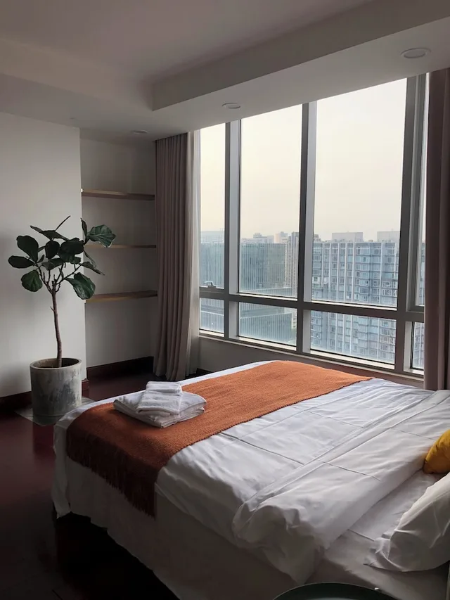 شقة سكنية سوبيريور بسريرين كينج وسريرين كوين بإطلالة على المدينة، River House Near Peoples Square And The Bund 6/10
