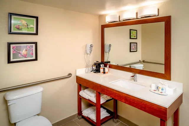 جناح بسريرين مزدوجين لذوي الإعاقة، Comfort Inn & Suites Grundy, VA 2/3