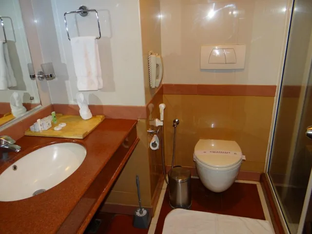 غرفة ديلوكس بسرير مزدوج، Hotel Airlink Castle 9/10
