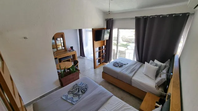 Renovated, Superior, 2 Double Beds, Buena Vista Oceanfront & Hot Springs Resort 3/10