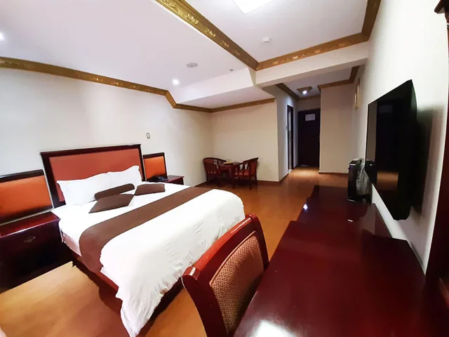 غرفة سوبيريور بسرير مزدوج، Hotel Swan 2/3