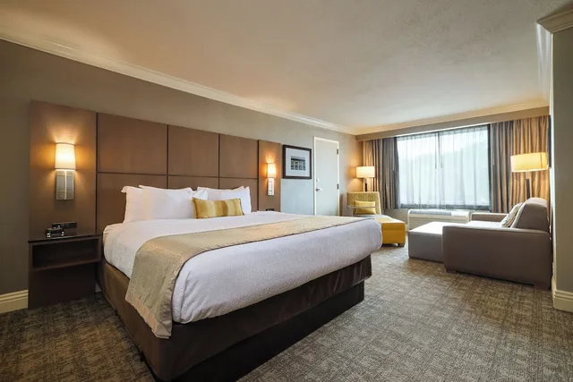 غرفة ديلوكس بسرير كينج مع أريكة، Best Western Premier Airport/Expo Center Hotel 2/8