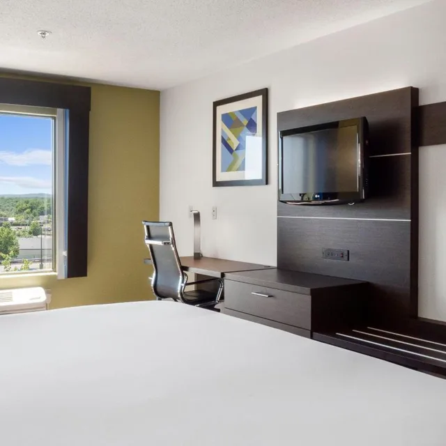 Suite, King Bed, Sofa, Holiday Inn Express Hotel & Suites Newton Sparta 4/10
